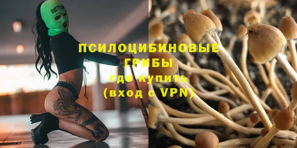 герыч Алзамай
