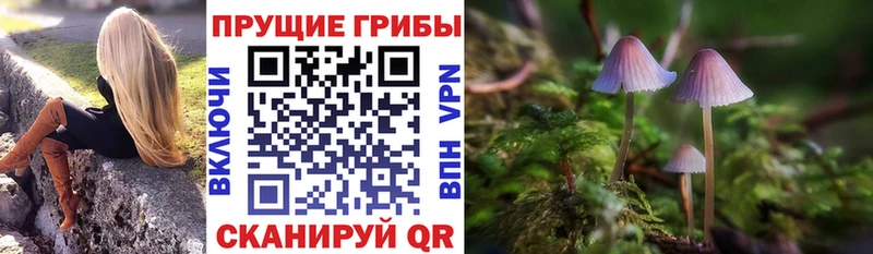 blacksprut   Перевоз  Галлюциногенные грибы мухоморы 
